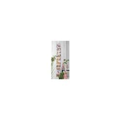 Adventa Photo Curtain Transparent 6x4