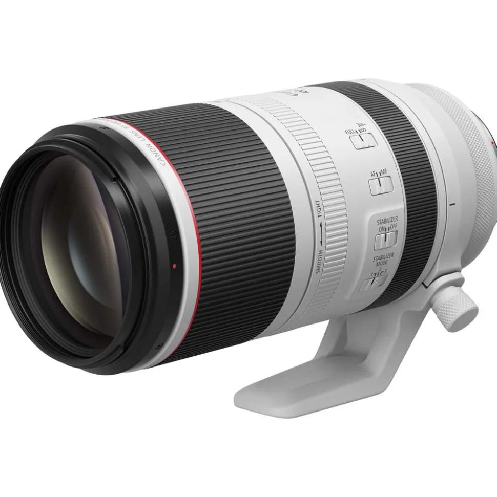 Canon RF 100-500mm f/4.5-7.1 L IS USM Lens