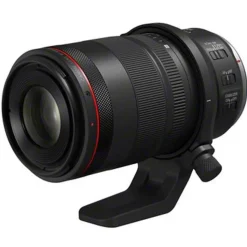 Canon RF 100mm f2.8 L Macro IS USM lens