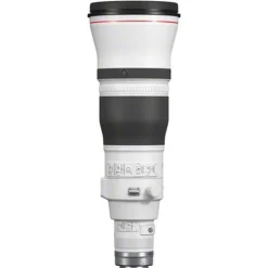 Canon RF 600mm f/4L IS USM Lens