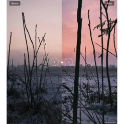 Capture One Pro and Expert Styles Collection