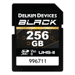 Delkin Black 256GB UHS-II Rugged SD Card