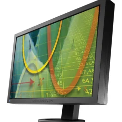 Eizo S2433WFS - 24 Widescreen TFT Monior - Black