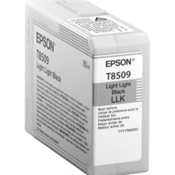 Epson T850900 Light Light Black for SC-P800