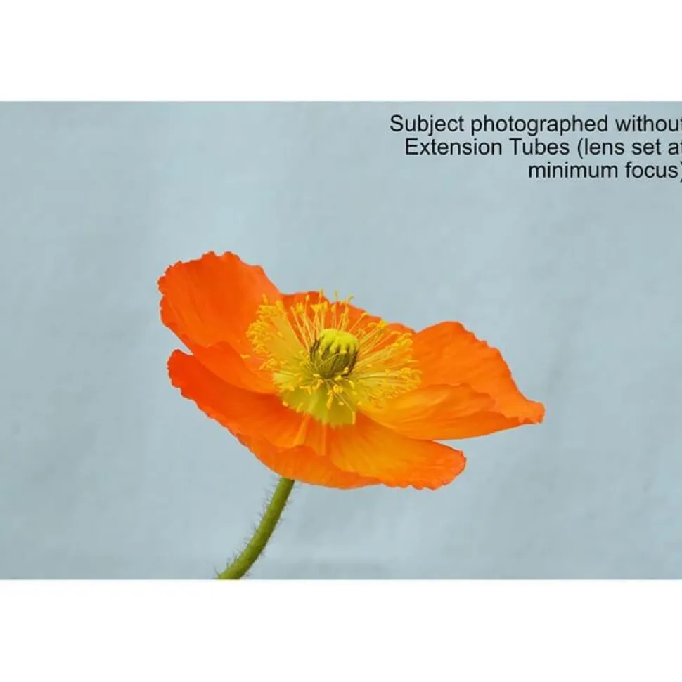 Kenko Teleplus DG Extension Tube Set - Nikon F Mount