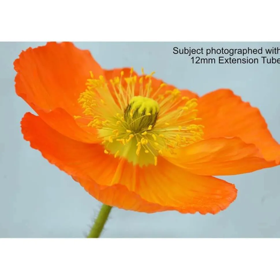 Kenko Teleplus DG Extension Tube Set - Nikon F Mount