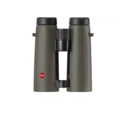 Leica NOCTIVID 10x42 Edition green Binocular