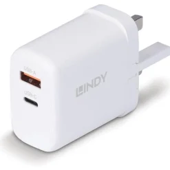 Lindy 65W USB Type A & C GaN  Wall Charger