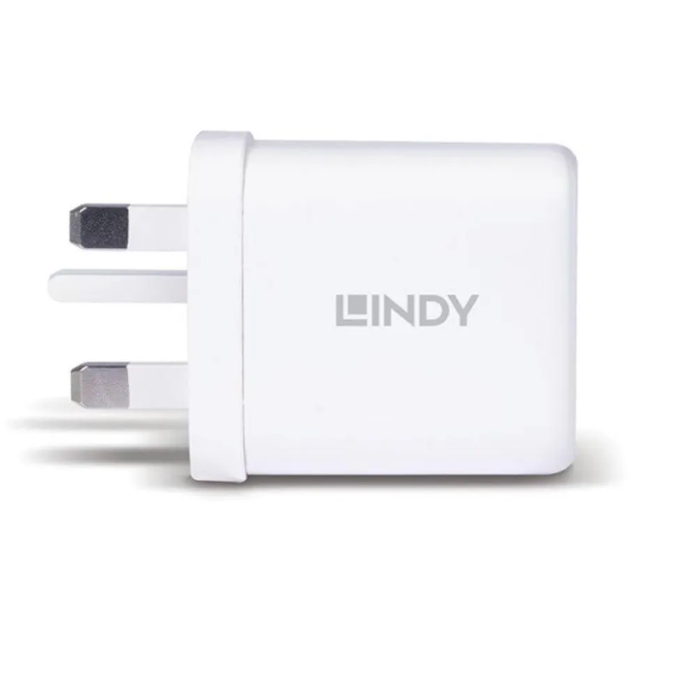 Lindy 65W USB Type A & C GaN  Wall Charger