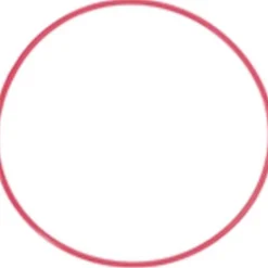 Olympus POL-050 O-Ring for PT-050 Underwater Housing