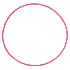 Olympus POL-EP13 O-Ring for PT-EP13