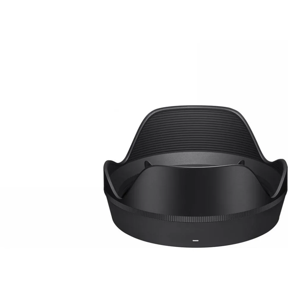 Sigma 24-70mm f/2.8 DG DN II Art Lens for Sony E