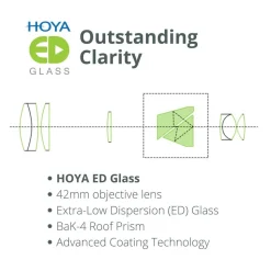 Vanguard VEO HD2 8x42 Carbon Composite Binoculars With HOYA Glass